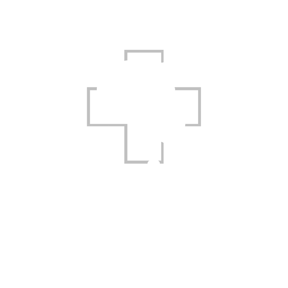 Saginaw Valley Equine Clinic Logo (Designed by Someone)